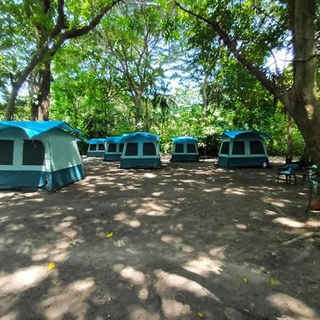 Happy Camping Arrecifes Dentro Del Parque Nacional Natural Tayrona El Coquito Экстерьер фото